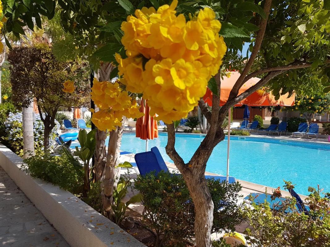 Villa Ilios In Kato Πάφος Εξωτερικό φωτογραφία